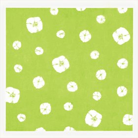 �s�D�z���C�~66 �i��O���[��N66×66cm 20���� 15948