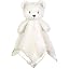 A White Bear