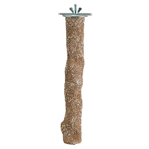 Image of Prevue Pet Products Pacific Perch Beach Branch Small 1010