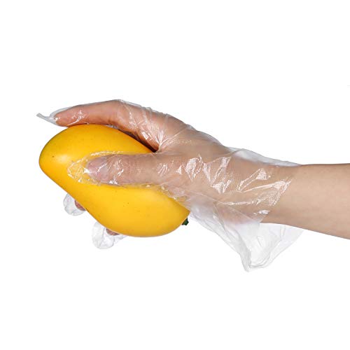 MoloTAR 100 pcs Plastic Disposable Gloves,Disposable Gloves, One Size Fits Most