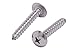 #8 x 1 Stainless Truss Head Phillips Wood Screw, (100pc), 18-8 (304) Stainless Steel Screws By Bolt Dropper