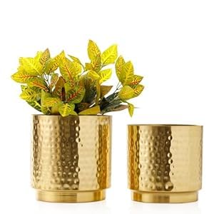 Brush Brass Copper Indoor Flower Pot, Decorative Planter, Cylindrical Vase Container with Tapered Bottom, Set of 2 - Handcrafted in India (10 Inch) (B0D6NQ5XFX) Amazon Price History, Amazon Price Tracker