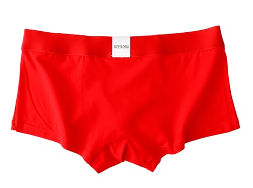 eywlwaar Men's Boxer Briefs Mesh Trunks Underwear3