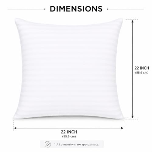 Image of Clasiko Microfiber Cushion Filler 22 x 22 Inches Set of 2 | Suitable for Sofa, Bed & Floor