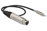 Hosa MIT-156, Impedance Transformer, XLR3F to 3.5 mm TRS, 18 in
