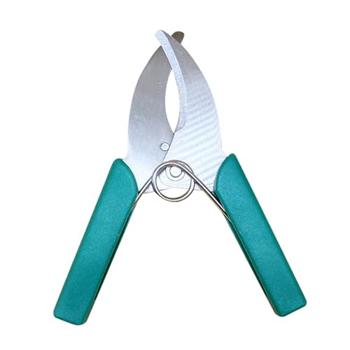 K[fg~O͂݃X`[|A͂݉Ԃ̎}ʎڂ؃g~Onhc[뙒