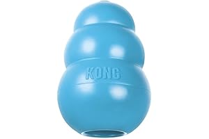 KONG Puppy Medium Dog Chew Toys