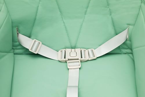 Fillikid Hochstuhl Tom Exklusiv, Kinder Hochstuhl ab 6 Monate bis 15 kg, Klappbarer Hochstuhl, mit Tisch, Einhändig Verstellbare Rückenlehne, Ultra Leicht, Klappbar Tisch 5-Punkt Gurt