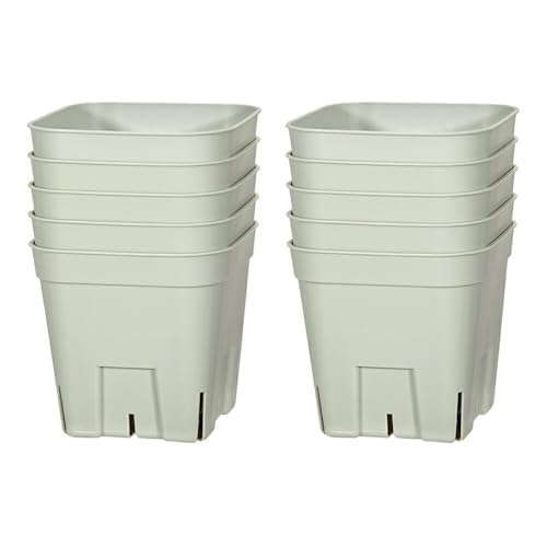 v~AvXe XO^ O[ POZbg