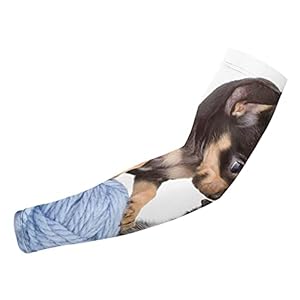 Leuke katten en honden spelen Uv zonbescherming arm mouwen koeling sport compressie mouwen