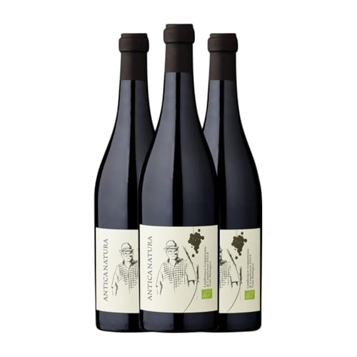 Zanasi. Antica Natura Lambrusco Lambrusco Grasparossa di Castelvetro 75 cl Vino tinto (Caja de 3 Botellas de 75 cl)