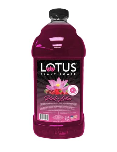 Pink Lotus Plant Power® Energy Drink Concentrate | Natural Caffeine & PP7™ Formula | Plant-Based Organic Ingredients | Organic Cane Sugar Beverage | 1:5 Mix Makes 64 6oz Drinks