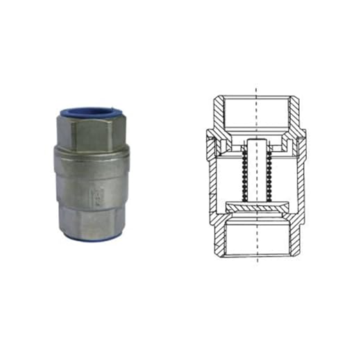 Pompe de filtration d'aspiration en acier inoxydable DN32 - 5