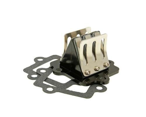 2EXTREME Racing boîte à clapets (6 clapets) Compatible avec Minarelli liegend Scooter, MAXISCOOTER, Quad, Classic