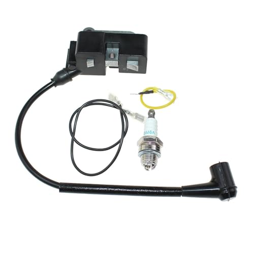 Bobine d'allumage stable pour modèles 2145 2149 2150 2159