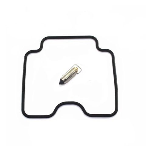 Supprimer trou accélération Suzuki GS500F kit réparation pointeau
