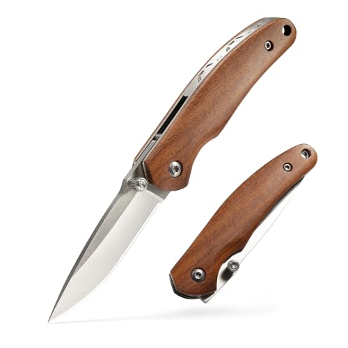 BARRYSAIL Small Pocket Knife, Folding Knife with 2.4 Inch Blade, Liner Lock, Wood Handle for EDC, Outdoor Camping, Survival (Polished)