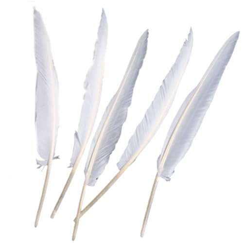 Lot de 10 plumes d'oie naturelles en vrac pour loisirs créatifs, cosplay, fête de mariage,...