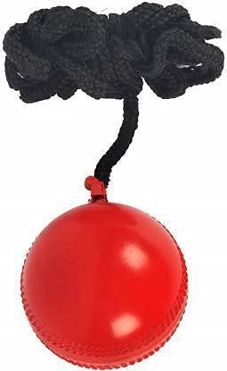 HIRNOTS Cricket Practice Hanging Ball (B098MHZP9W) Amazon Price History, Amazon Price Tracker