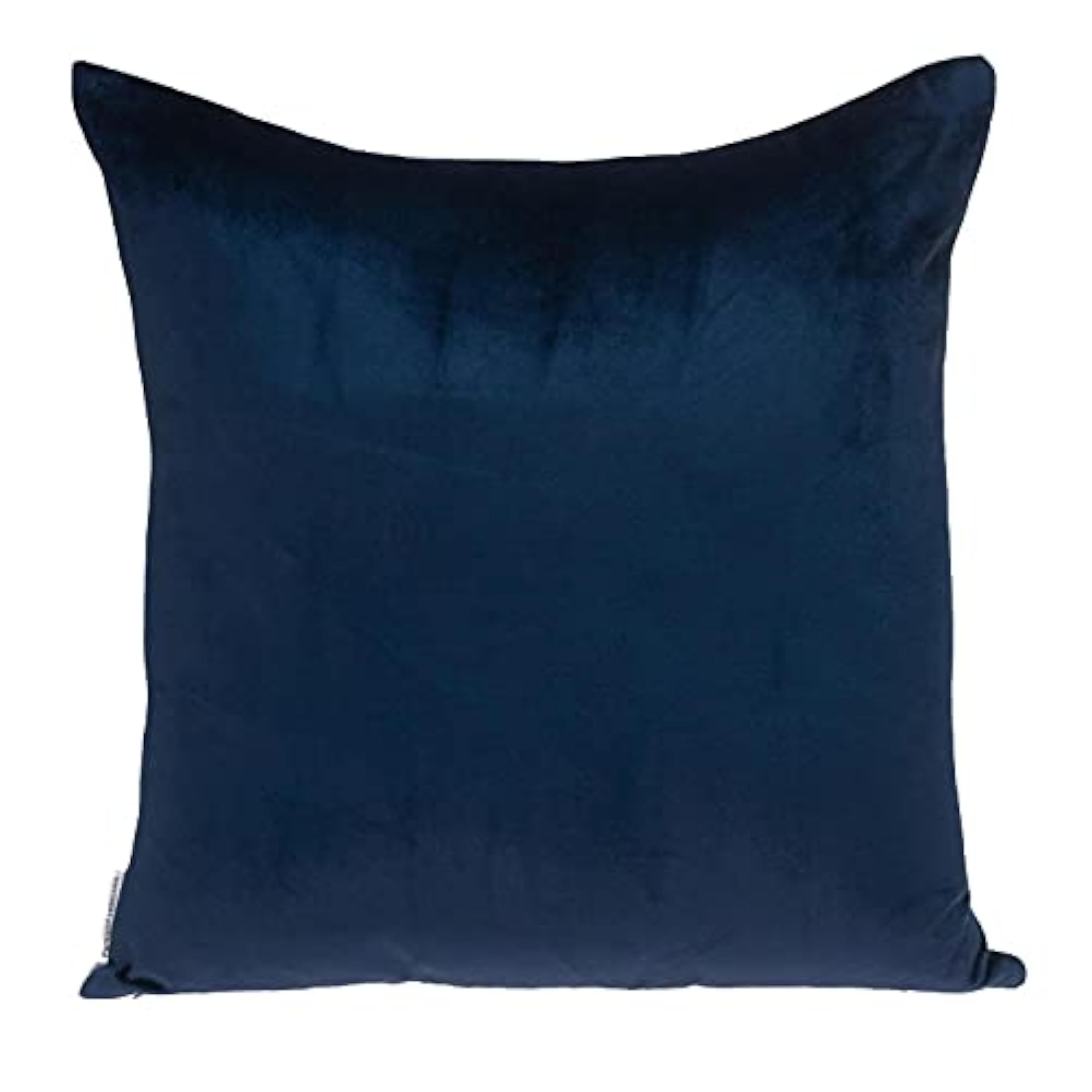 Nerine Transitional Blue/Navy 20" x 20" Throw Pillow
