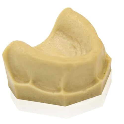 20 piezas de modelo de diente de yeso, modelo dental de alta simulación, modelo de diente de yeso, molde de dientes orales simulados
