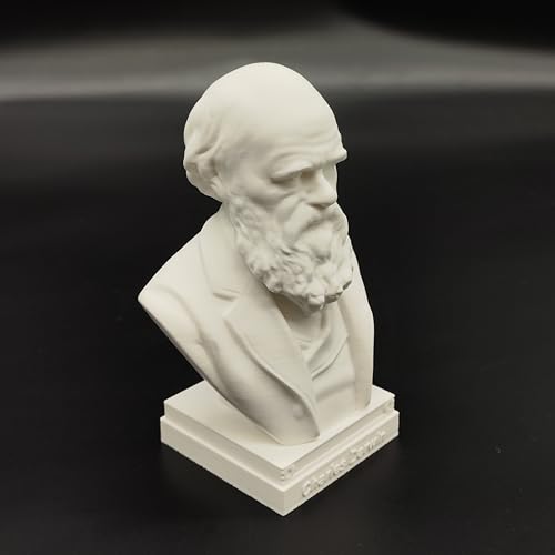 Busto Charles Darwin Estatua Decorativa 6 x 4 x 3 in miniatura 3