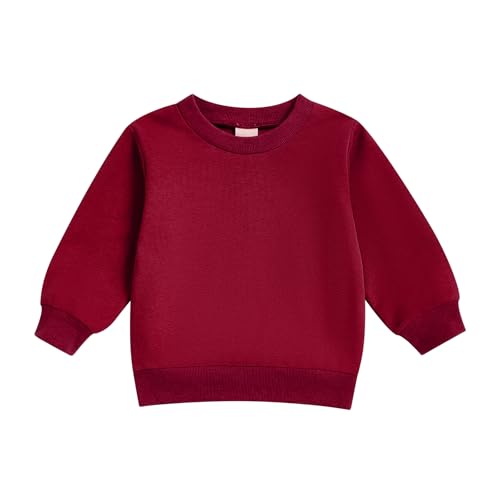 Toddler Kids Boy Girl Sweatshirt Solid Color Long Sleeve Round Neck Pullover Loose Tops