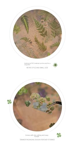 Image of NVF Store Natural Pressed Dried Flowers Set for Resin Art, Scrapbooking, Nail Art, Phone Case Decoration, DIY Crafts, Epoxy Jewelry Making & Greeting Cards - Real Botanical Flower Stickers