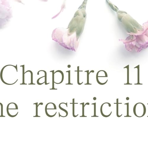 Une restriction (I, 1, 11)