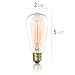 Vintage Edison Light Bulb 60W (1 Pack) - Dimmable Exposed Filament - Incandescent Clear ST58 Teardrop Squirrel Cage Style - E26 Medium Base 2700K - 210 Lumens ... (1 Pack)