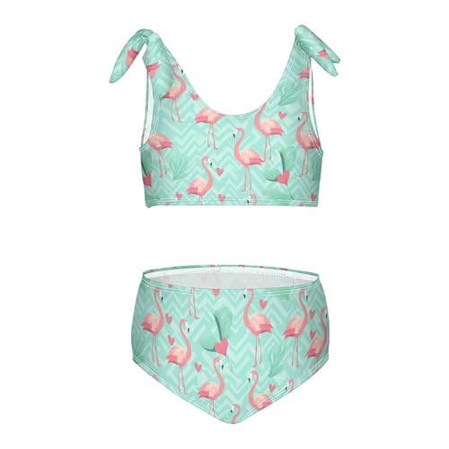 Wusikd Flamingo Hearts Girls Swimsuits Two Piece Swimwear Bikini Set for for Girls Size 3T