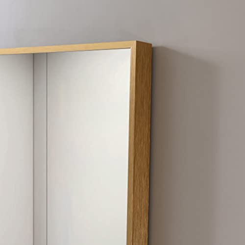 Petushouse Framed 20'' X 28'' Rectangular Gold Mirrors With Removable Shelf, Modern Wall Mirror For Bathroom, Bedroom, Living Room, Hanging Vertically #TOP6