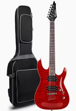 Guitare électrique débutant adulte pratique guitare électrique avancée jeu de performance professionnelle grade D170 (rouge) - Les Beatles, Paul McCartney, John Lennon, RIngo Starr, George Harrison Guitare électrique débutant adulte pratique guitare électrique avancée jeu de performance professionnelle grade D170 (rouge)