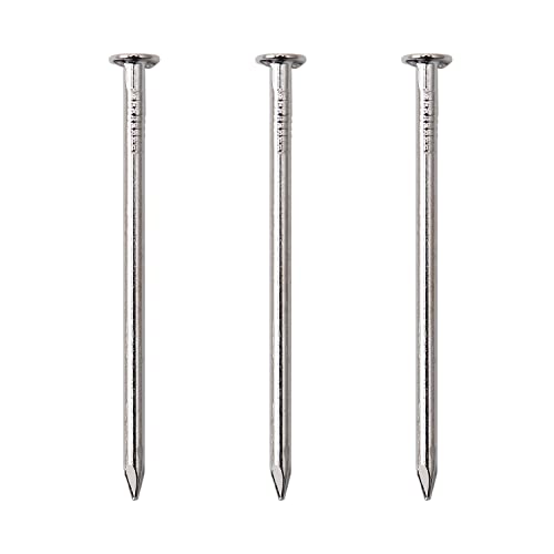 Image of JEGONFRI 120pcs 2 inch Nickel Plated Nails for Hanging Pictures, Wood Nails