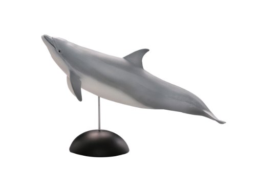 Kaiyodo Aqua Tales Bottlenose Dolphins About 120mm Polystone Painted Figure 1-001