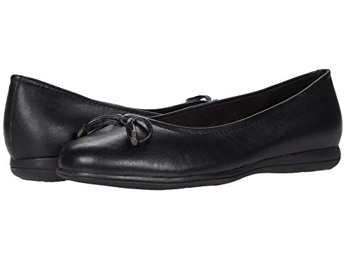 Image of Trotters Honor
