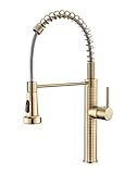 AIMADI Wasserhahn Küche Ausziehbar Küchenarmatur Einhebel-Mischer mit 360° Drehfunktion Armatur Küche Spültischarmatur Gold