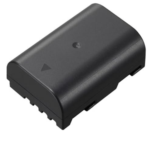 Panasonic DMW-BLF19 Lithium-Ion Battery Pack (Black)