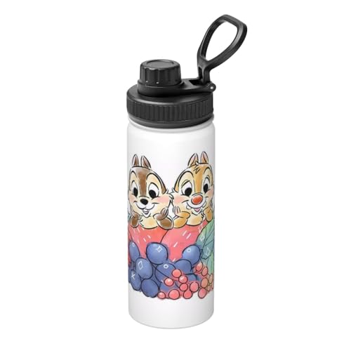 Disney　軽量ワンタッチボトル　チップ　デール ステンレスワンタッチボトル480ml（選べるキャラクター