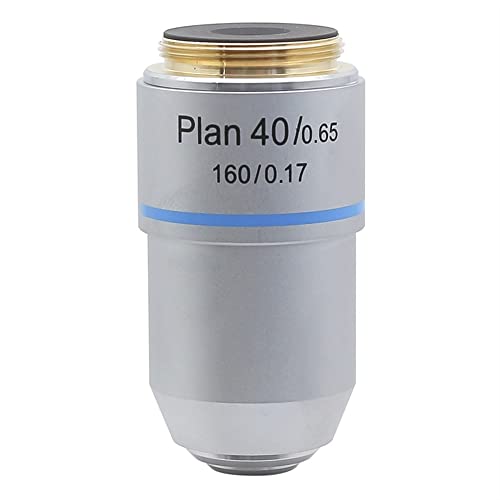 Lbg ΕY 4X 10X 20X 40X 60X 100X 195 vΕY RMS XbhC^[tF[X ANZT[ YA_v^[(40X)