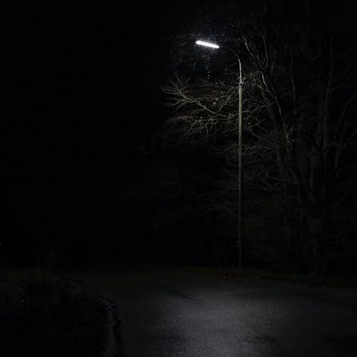 Couverture de Things to listen to