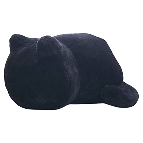 [X[cP[XJpj[]GPT L lR ʂ ӂӂ  LObY LG 킢  v[g ubN