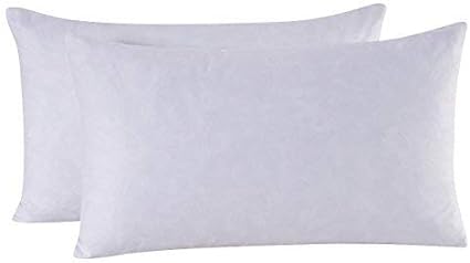 18x18 feather pillow insert