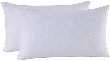18x18 feather pillow insert
