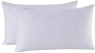 bolster foam pillow forms