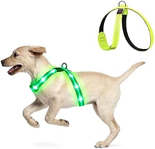 KOSKILL Dog Harness Light For Dogs At Night Walking, No Pull Light Up Dog Harness Wateproof Adjustable,Rechargeable Dog Light For Harness,Glow In The Dark Dog Harness For Medium Large Dog,Green Medium