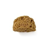 PENNELLIFICIO 2000 | Éponge Mer Naturelle Méditerranée, Éponge pour Effets Décoratifs Murs, Dimentro 14 cm, Produits de 1ère Qualité