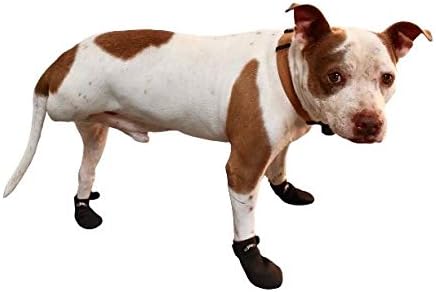traction booties for dogs