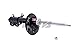KYB Gas STRUT