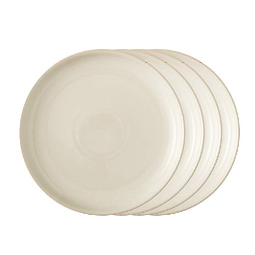 Denby Dinner Plates. Denby Studio Craft 4 Piece Coupe Dinner Plate Set, Ceramic, Mixed.